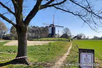 Zomerse dorpswandelingen gaan van start: “Koninklijke wandeling in Tongerlo”