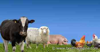 Farm Progress America, July 3, 2024