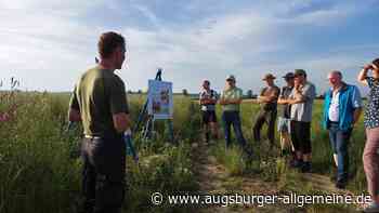 Lebensraum für Käfer und Co.:"Hecken schaffen angenehmes Klima“