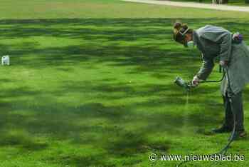 Brusselse kunstenares schildert dit weekend schaduwen op het grasveld voor het Kasteel van Gaasbeek