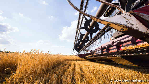 Russische tarweoogst zakt onder vijfjarig gemiddelde