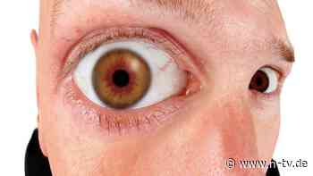 BGH-Urteil: Kein Widerruf von Versicherungsverträgen bei Haustürgeschäft