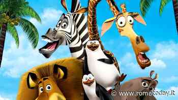 Il Cinema in piazza, Madagascar a Monte Ciocci