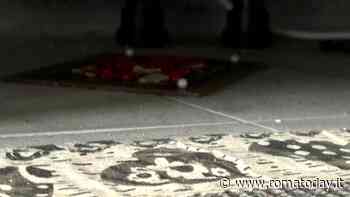 Bastogi, i topi invadono un palazzo: "Aiutateci"