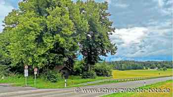 Änderung bei Vorranggebieten: Überfrachtet Energiewende Jettingen?