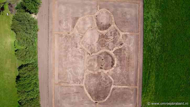 Levensgroot bloemenschilderij Van Gogh opnieuw geplant: 'Nu of nooit'