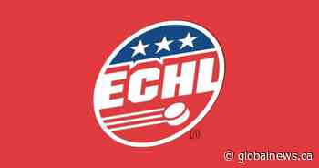 Maple Leafs affiliate with ECHL’s Cyclones