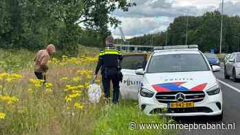 Politie plukt verdwaalde voetganger van snelweg A59