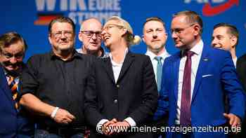 Philosoph warnt vor Bollwerk gegen AfD: „Das genügt nicht, um die Demokratie zu stärken“