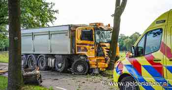 Vrachtwagen botst frontaal op boom: opgeroepen traumahelikopter geannuleerd