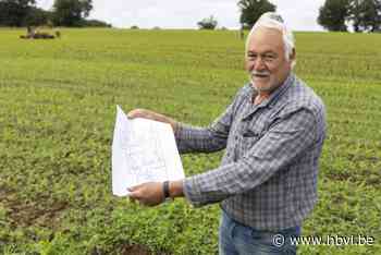 Regen zet domper op meeste maïsdoolhoven: “Te nat en te koud en dus groeit de maïs niet”