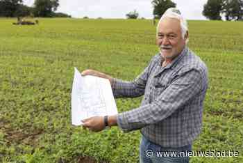 Regen zet domper op meeste maïsdoolhoven: “Te nat en te koud en dus groeit de maïs niet”
