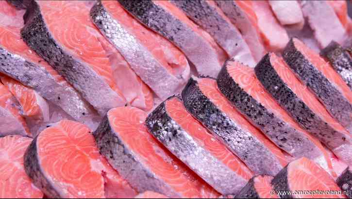 Urk - Zalmdief uit Urk betert zijn leven, krijgt naast straf óók een pluim van de rechter