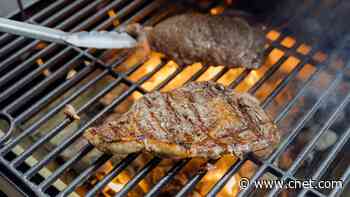 Best Gas Grills of 2024