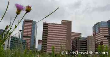 Fight over trans medical care is at the core of leaked Houston health records case