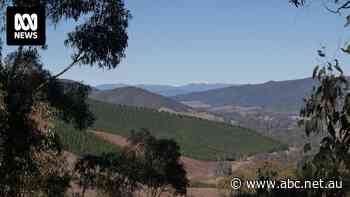 Popular alpine tourist towns buck trend of rising rents as city workers head back to office