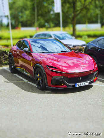 Gespot – Purosangue met een subtiel kenteken