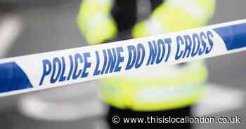 Poulter Park Carshalton stabbing: Person in hospital