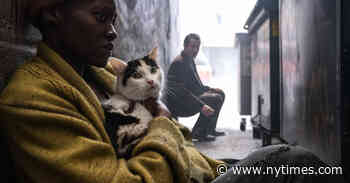 This Service Cat Has a Big Job: The Apocalypse