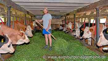 Was vom Bauern- und Künstlerdorf Holzhausen bleibt
