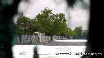 Trainingsfeld des FC Basel ist wegen Japankäfer-Massnahmen gesperrt