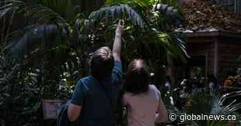 Former students share memories of the Ontario Science Centre’s school