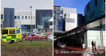 North East hospital trusts to share board chair as Great North Healthcare Alliance moves forward