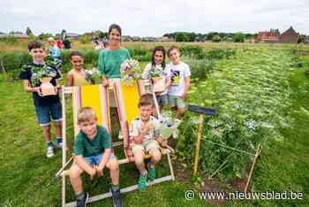 Waar haar opa ooit boerde, start Eline (36) met bloemenplukweide: “Uit de hand gelopen hobby”