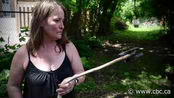 Could rat birth control work in Ottawa?