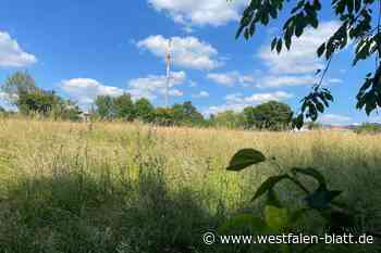 CDU hält weiter an altem Standort an der Poststraße fest