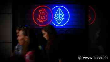 Meme-Coins und Krypto-Tokens: Wie sich am Markt die Spreu vom Weizen trennt