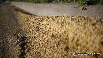 25 Dividenden-Könige aus den USA: Diese Titel verdienen nun besondere Aufmerksamkeit