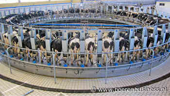Kalme zuivelmarkt nu de vakantieperiode nadert