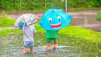 Hochwasserschutz Egenhausen: Vorkehrungen nur mit Einverständnis der Besitzer möglich
