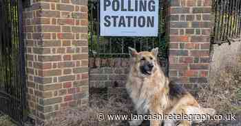 East Lancashire's best #DogsAtPollingStations for election