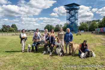 Nieuwe hondenloopweide aan uitkijktoren is voorbode voor grootste hondenloopbos van de provincie