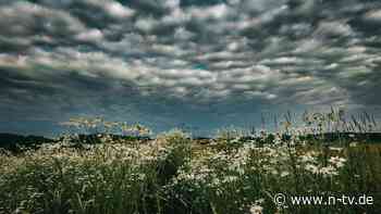 Samstag wird ein Ausreißer: Hitzeblase, Kaltfront, Schwüle - ist das der Sommer?