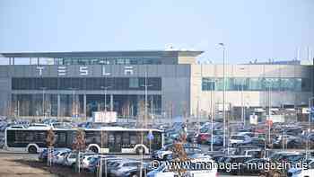 Tesla: Land Brandenburg genehmigt Ausbau der Fabrik in Grünheide
