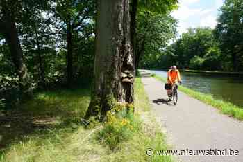 Zieke bomen langs de vaart zijn niet gevaarlijk volgens De Waterweg: “Moeten we wachten tot er een tak op ons hoofd valt?”
