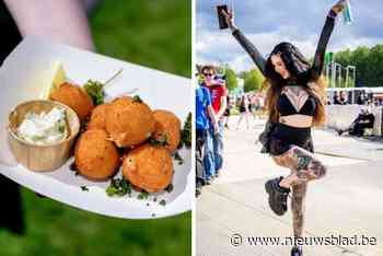 LIVE ROCK WERCHTER. Is het duurste eten op het terrein je geld waard? - Tess (33) is de opvallendste fan