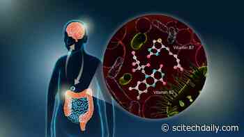 New Study Links Gut Vitamin B Deficiency to Parkinson’s Disease