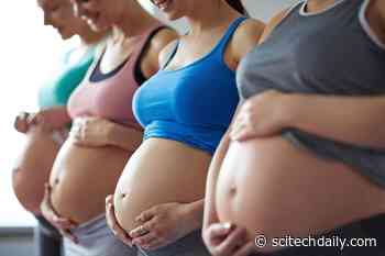 The Truth About Fish and Pregnancy: What’s Safe and What’s Not