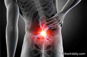 Scientists Discover Surprisingly Simple Method To Ease Lower Back Pain