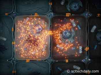 Unlocking the Secrets of Cellular Communication: New Breakthrough Has Vast Medical Implications