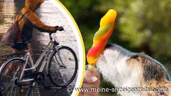 100-jähriger Kalender mit klarer Prognose: So heiß wird das Wetter im August