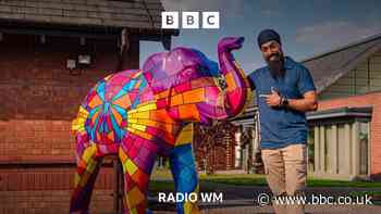 Charity 'trail of elephants' launched in Lichfield