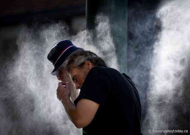 Environment Canada issues multiple warnings as B.C. braces for weekend heat