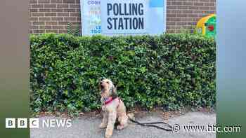 Essex polling stations close for general election