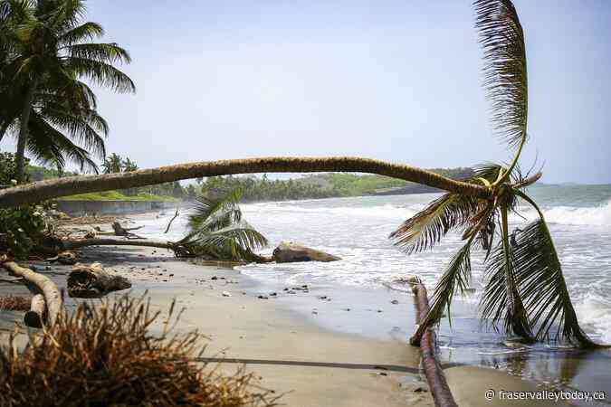 Canadians in Grenada and Montreal rally to help after hurricane Beryl devastation