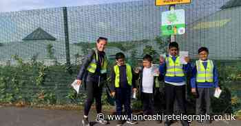 Stoneyholme Primary School tops WOW Top 10 leader board